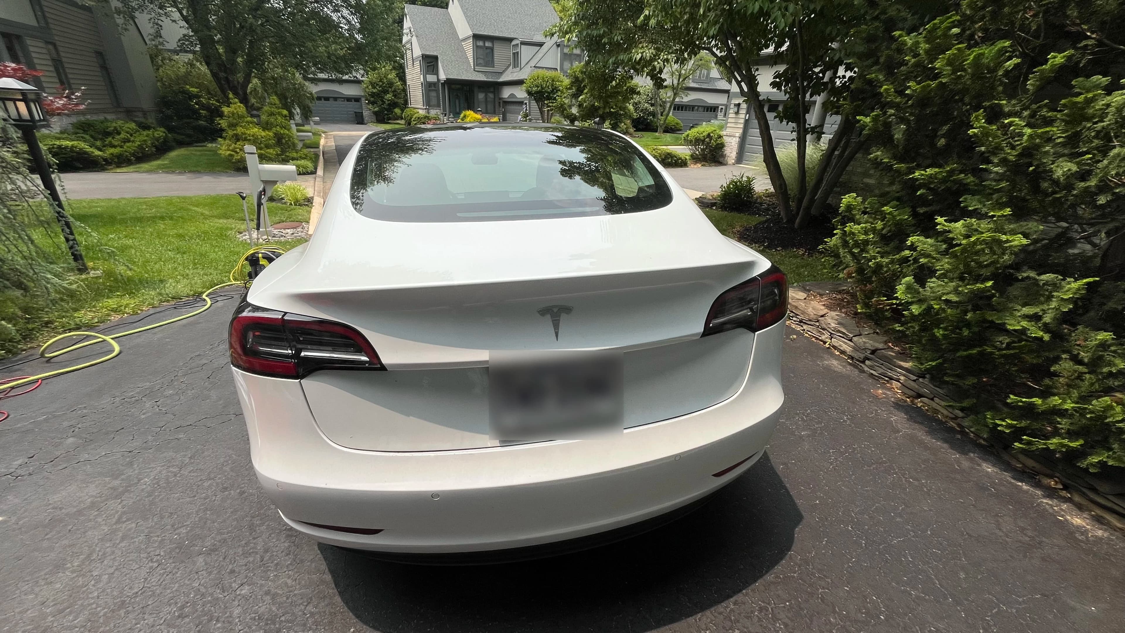 Tesla Rear Before